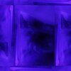 Nelovesbias、Jalaw Benjamin、Tobias Felton、Knowmxdd - Please Dont (Explicit)