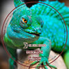 Cris Bueno - To Gever (Original Mix)