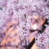 Romantic City - Explode Dinner