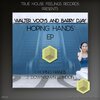 Walter Vooys、Barry DJay - Hoping Hands