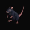 deLinkquents、724x、Denver - RATS