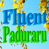 Cristian Paduraru - Fluent (Fitness Music)