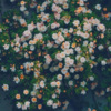 小阿港 - 那年花开