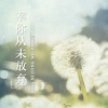 初夏小溪 - 幸你从未放弃