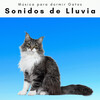 Música para dormir Gatos - Relajarse con Ruido Relajante de Tormenta Siesta