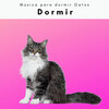 Música para dormir Gatos - Relajarse con Tranquilo Ruido de Agua Distante