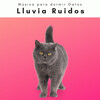Música para dormir Gatos - Islas de Lluvia Distante para Sueños