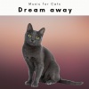 Music For Cats - Relaxing Rain Drops Noises for Cats