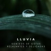 Estudio de sonidos de lluvia、Lluvia Relajante、Sonidos De Lluvia《Sonidos Suaves Del Flujo De La Lluvia》[MP3/LRC]