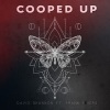 David Shannon、Frank Rivers《Cooped Up》[MP3/LRC]