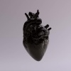 Besomorph、Ryan Curtis - So Low