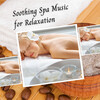 Binaural State、Spa Music For Dogs、Study Academy - Soothing Spa Music for Relaxation - 3 Hours