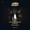 City Soul Project、B.O.D - Vibe We Share