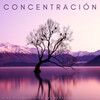 Naturaleza Sonidos、Meditaciones Espirituales、Ruido Blanco - Sonidos Reflexivos De Lluvia