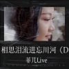 菲儿Live《相思泪流进忘川河》[MP3/LRC]