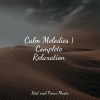 Study Zone、Baby Sleep Music、Academia de Meditação Buddha《Meditation Breeze》[MP3/LRC]