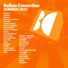 Rokazer、Dowden - Nebula (Dowden Remix)