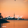 Pointelin - Inner Flight