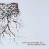 Brad Butcher - From The Bottom Of A Well