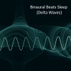 Binaural Tones、Binaural Beats MT《0.5 Hz Binaural Healing Sleep》[MP3/LRC]