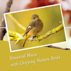 Yoga Music Guru、Nature Hiker、Work Music Playlist - Binaural Music with Chirping Nature Birds - 2 Hours