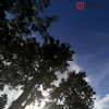 一只千纸鹤 - 云很重