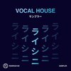 Raisini、Inaya Day - Forgiven (Willy Sanjuan Peaktime Club Mix)