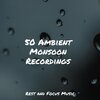 White Noise For Baby Sleep、Mindfulness Mediation World、Classical Study Music - Bright Aurora