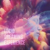 Deep Sleep Maestro《Instant Lucid Dreaming》[MP3/LRC]