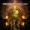 Disconect、Cosmic Wolf - Escape from Reality (Original Mix)