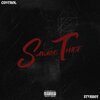 Control - Savage Thief (Explicit)