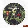 Deep2Tech - Sumatra