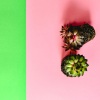 Womb Sounds and White Noise、Brown Noise、White Noise Therapy - Easy Sleep Relaxing White Noise