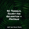 Spa Music Collective、Egyptian Meditation Temple、White Noise Relaxation - Nighttime Nocturnes