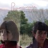 Panoramica - No lo distingo