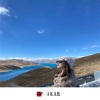 苏可可、小可、小奶瓶、词恩 - Spark Pure