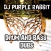 DJ Purple Rabbit - Ill Again