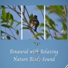 Binaural Boy、Native American Nature、Lullaby Time - Earshot of Nature