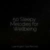 Exam Study Classical Music、Relaxing Music Therapy、Meditation - Unwind in the Tropics
