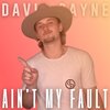 David Payne - Ain't My Fault