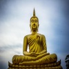 For The Lost、Dan Maus - Buddha Noise Nature