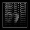 Plant、Ethan - Mirror Man