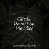 Fabricantes De Lluvia、Sleep Songs with Nature Sounds、Relaxing Mindfulness Meditation Relaxation Maestro - Sounds of the Ocean