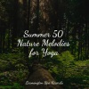 Nature Sounds for Concentration、Wave Sound Group、Relaxation - Soothing Soul