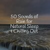 Bath Spa Relaxing Music Zone、Nature Sounds for Concentration、Guided Meditation - Forest, Morning,Calm,Birds