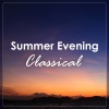 Vladimir Ashkenazy - Chopin: Mazurka In B Flat (玛祖卡舞曲 - 降B大调)(1832)