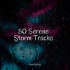 Rain Sounds Nature Collection、calm shores、Yoga Trainer - High Ocean Waves
