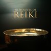 Reiki Raj - Energy Flow