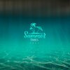 Transfers、Gabriel Marchisio - La Negra Menia (Radio Edit)