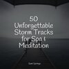 Relaxing Spa Music、A Sudden Rainstorm、Sleep Songs with Nature Sounds - Lapping Waves